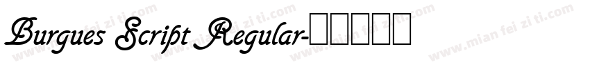 Burgues Script Regular字体转换